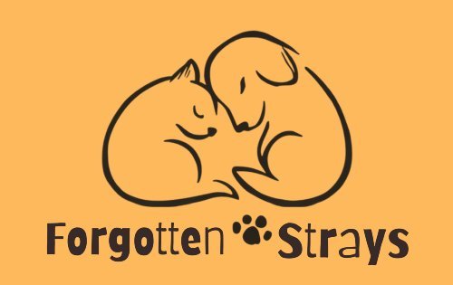The Forgotten Strays