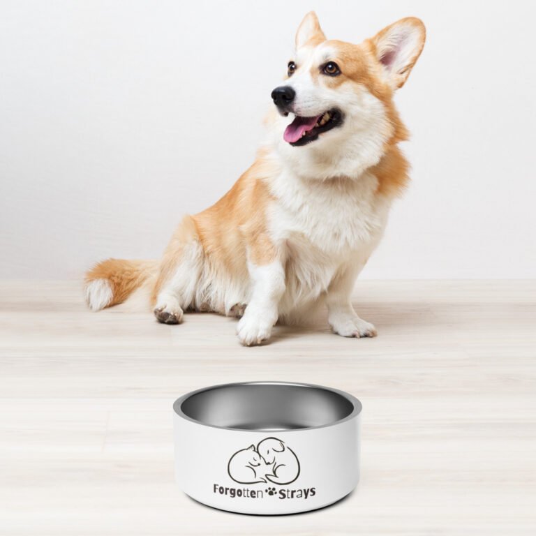 Pet Bowl