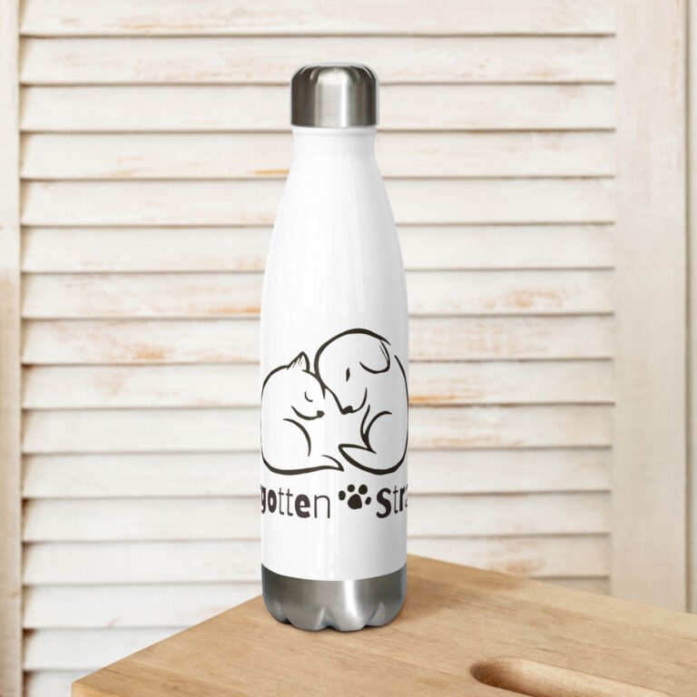 Stainless Steel Water Bottle