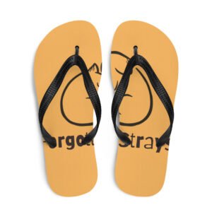 Flip-Flops